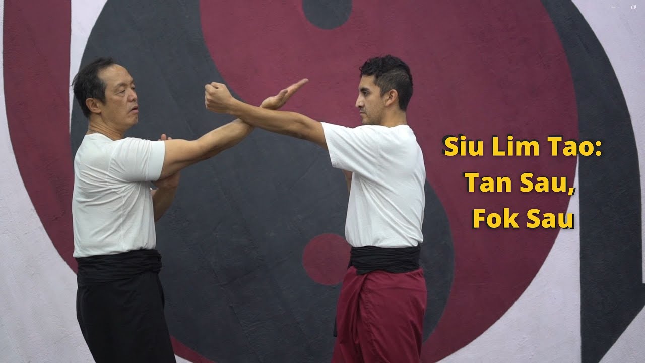 Siu Lim Tao: Sección 3 Tan Sau, Fok Sau