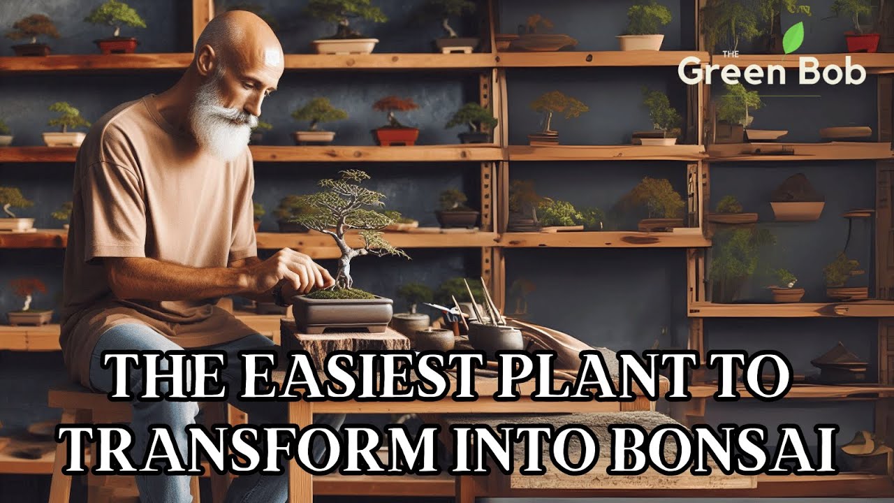Giving My Privet Bonsai a Trim: Simple Pruning Session