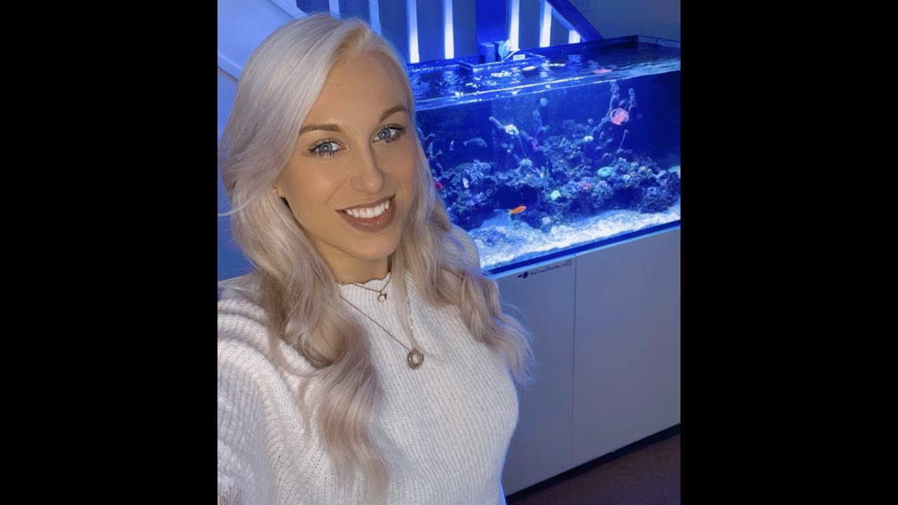 Redsea Reefer 350L Tank Update for Mixed Reef tank
