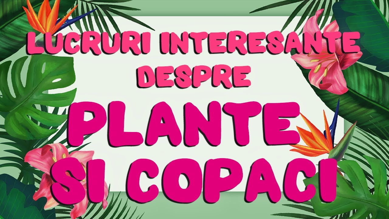 Lucruri interesante despre plante și copaci | Povestirile Paulei 🌺