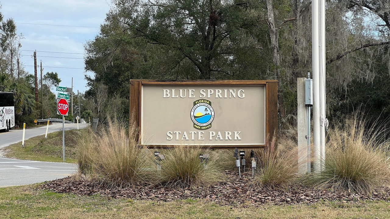Экскурсия по государственному парку Blue Spring в Ориндж-Сити, Флорида | 379 ламантинов | Государ...