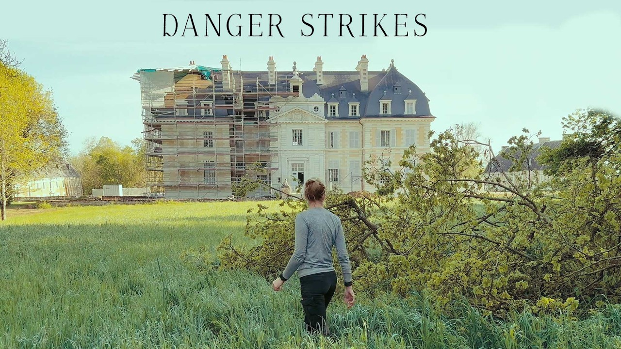 Château Restoration: Painters + shutters and fallen tree cutters!