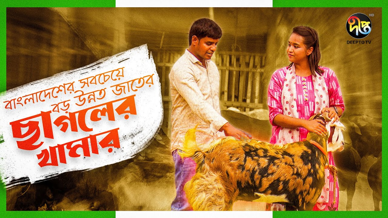 #DeeptoKrishi | বাংলাদেশের সবচেয়ে বড় উন্নত জাতের ছাগলের খামার | Goat Farming | Deepto TV | EP 1429