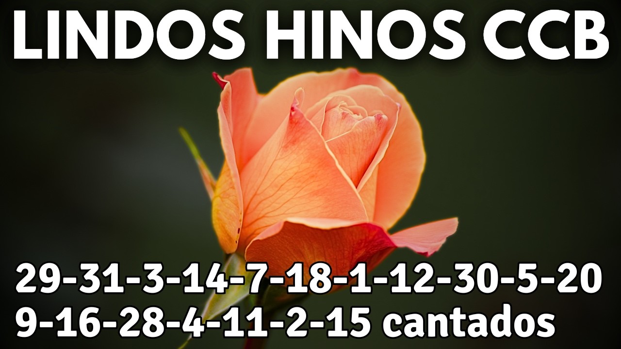 HINOS CCB 29-31-3-14-7-18-1-12-30-5-20-9-16-28-4-11-2-15 cantados