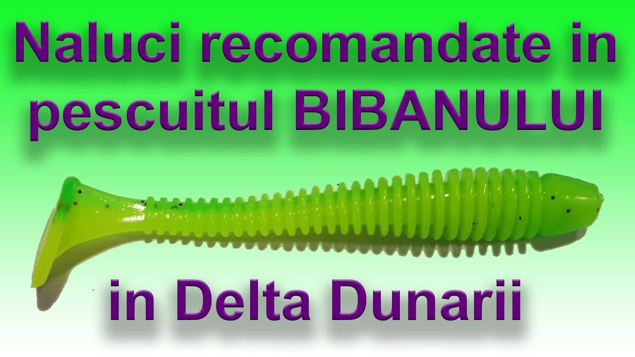 Naluci recomandate in pescuitul BIBANULUI