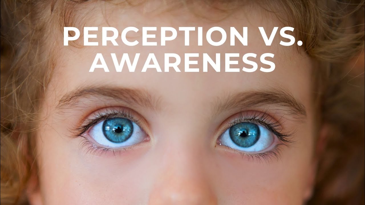 Perception vs. Awareness