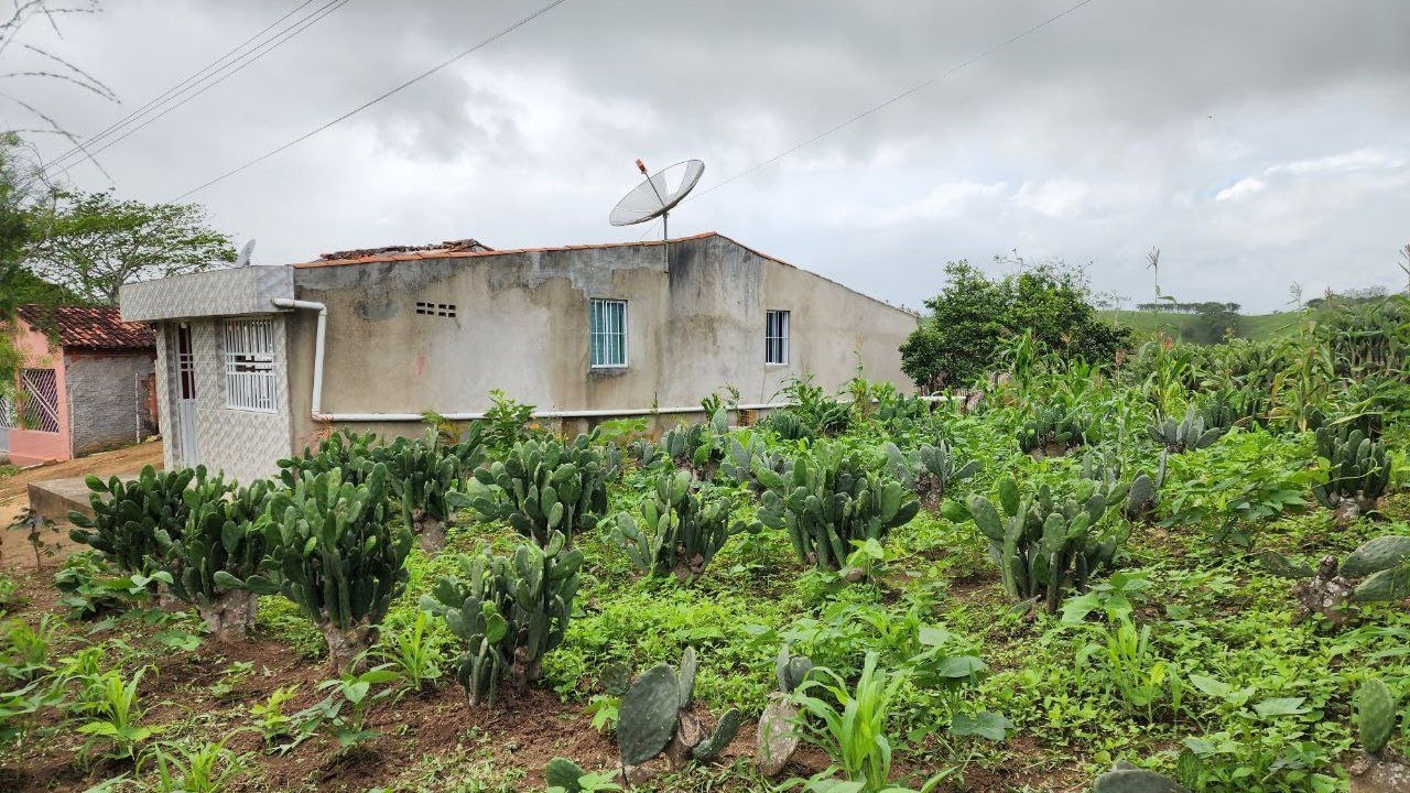 SÍTIO À VENDA EM BOM JARDIM - PERNAMBUCO