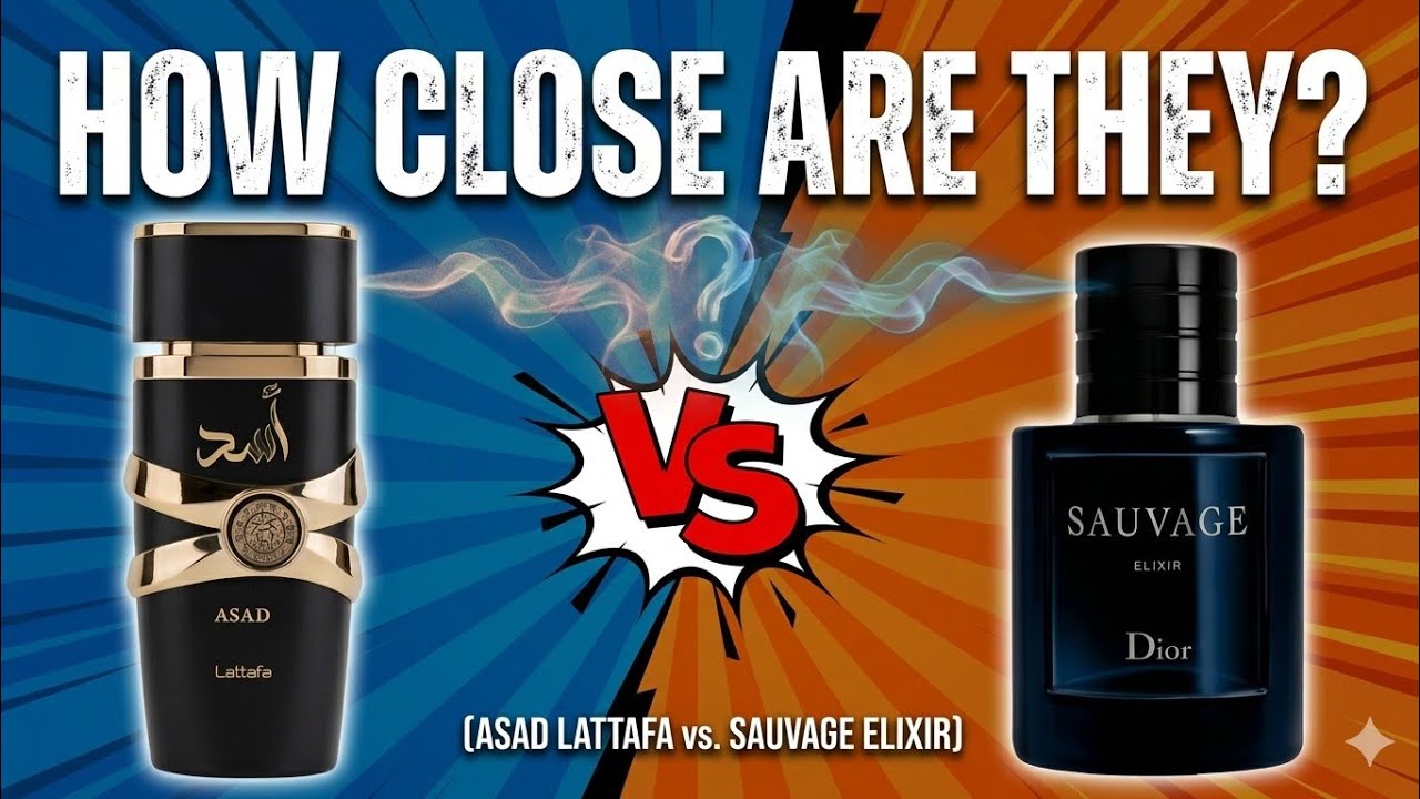 Lattafa Asad vs Dior Sauvage Elixir Review