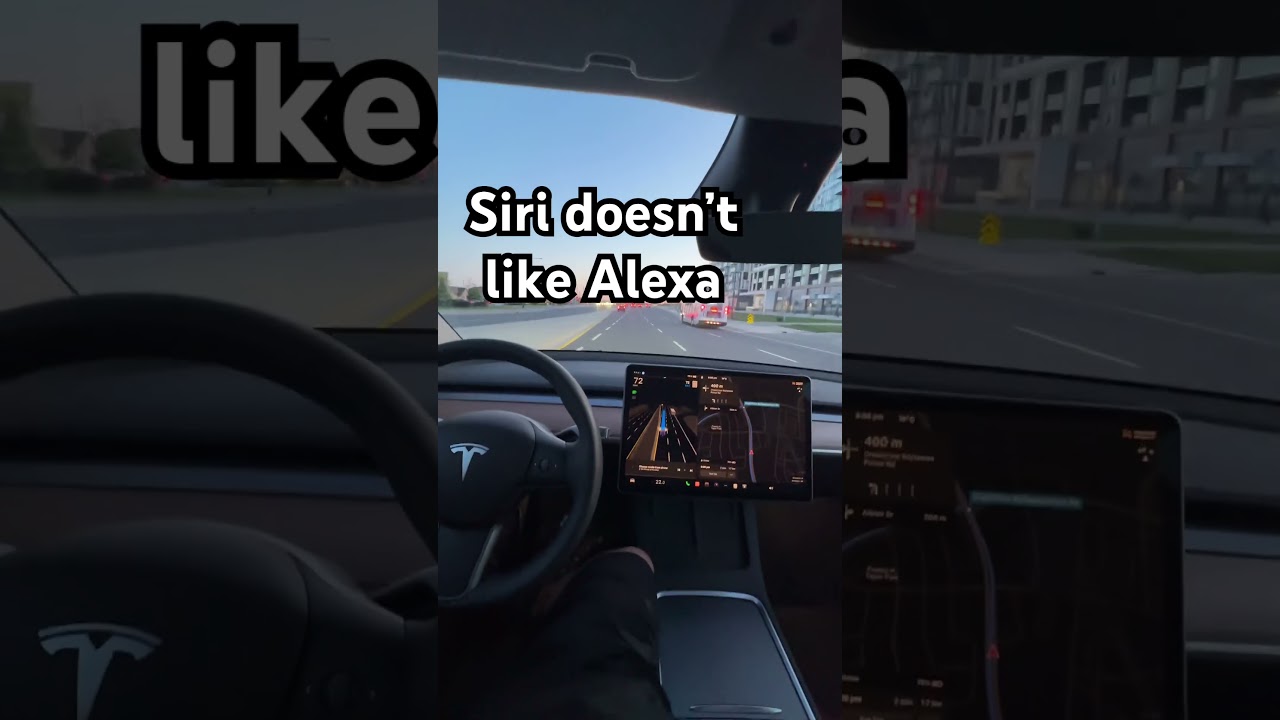 Siri Doesn&rsquo;t Like Alexa #funny #comedy #siri #alexa #echo #apple #amazon