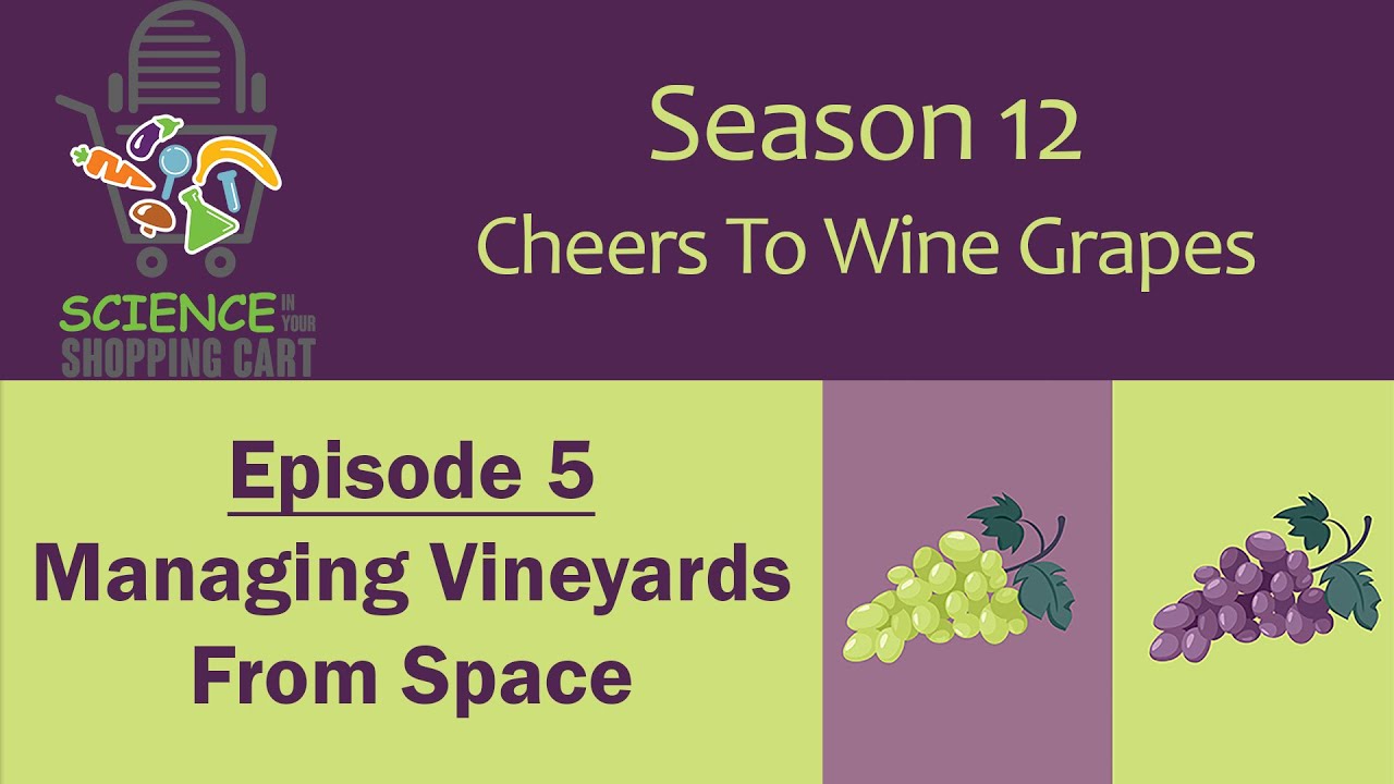 SIYSC | Season 12: Cheers To Wine Grapes || Episode 5: Managing Vineyards From Space