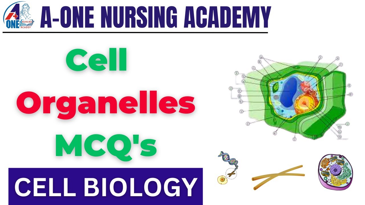 Cell Division BY CHETNA MAM || HUMAN CELL || Organelles