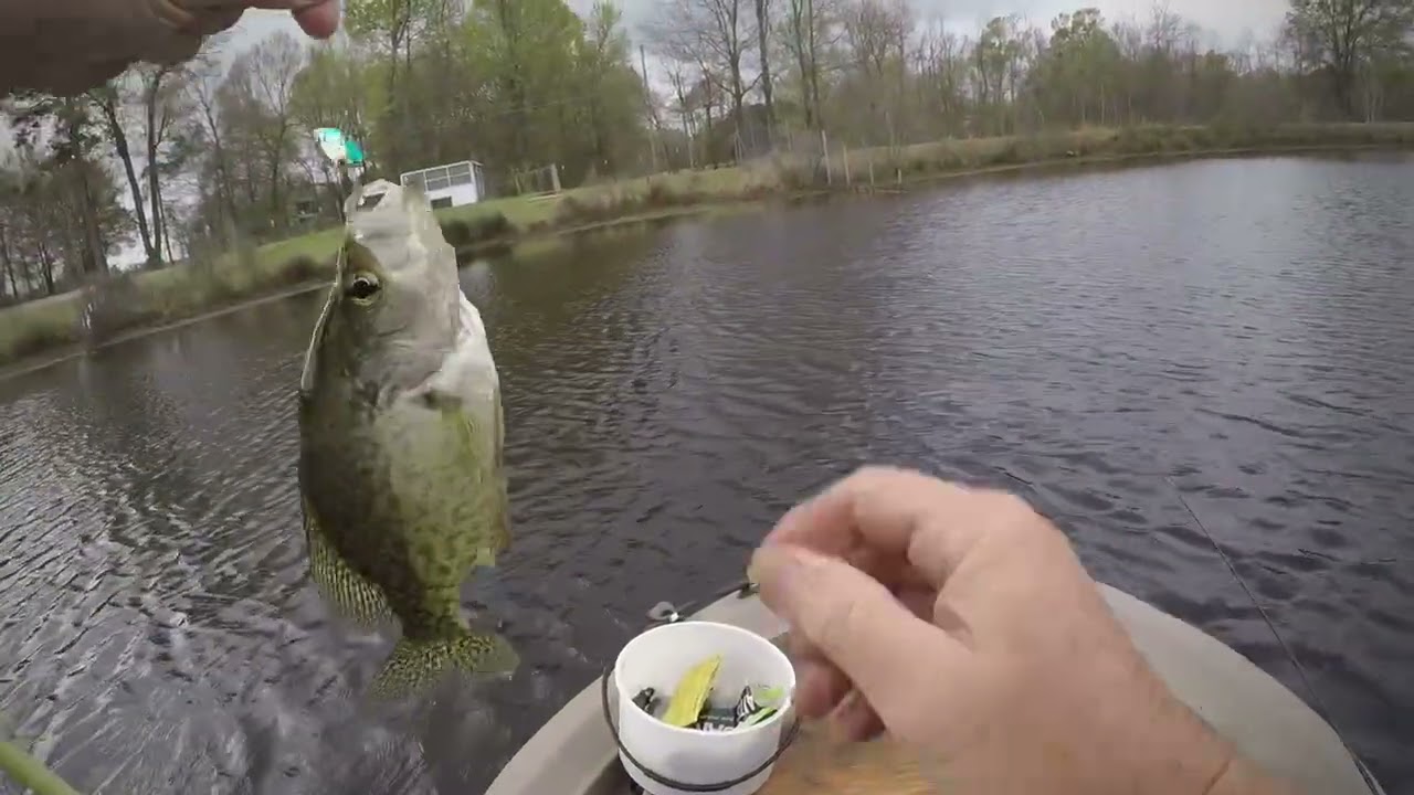 Good morning at the pond! 