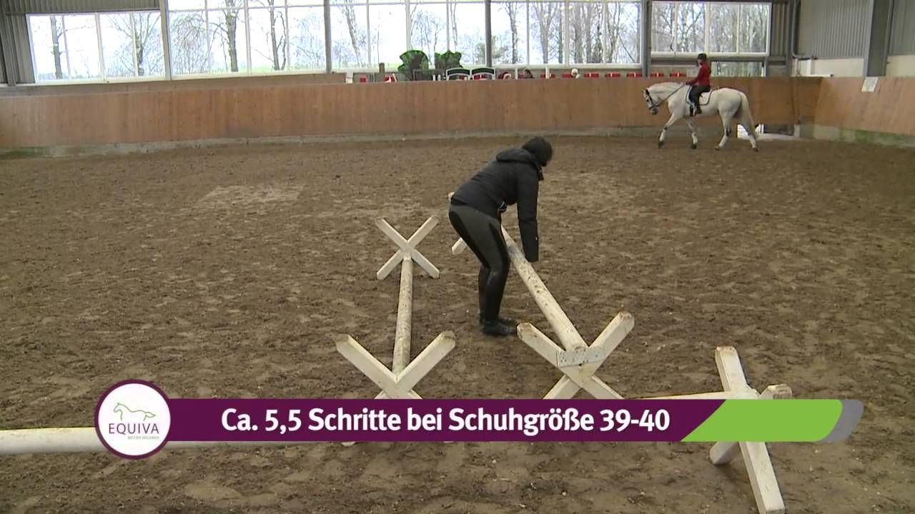 Stangen- und Cavalettiarbeit Teil 2 - Übungen für den Trab