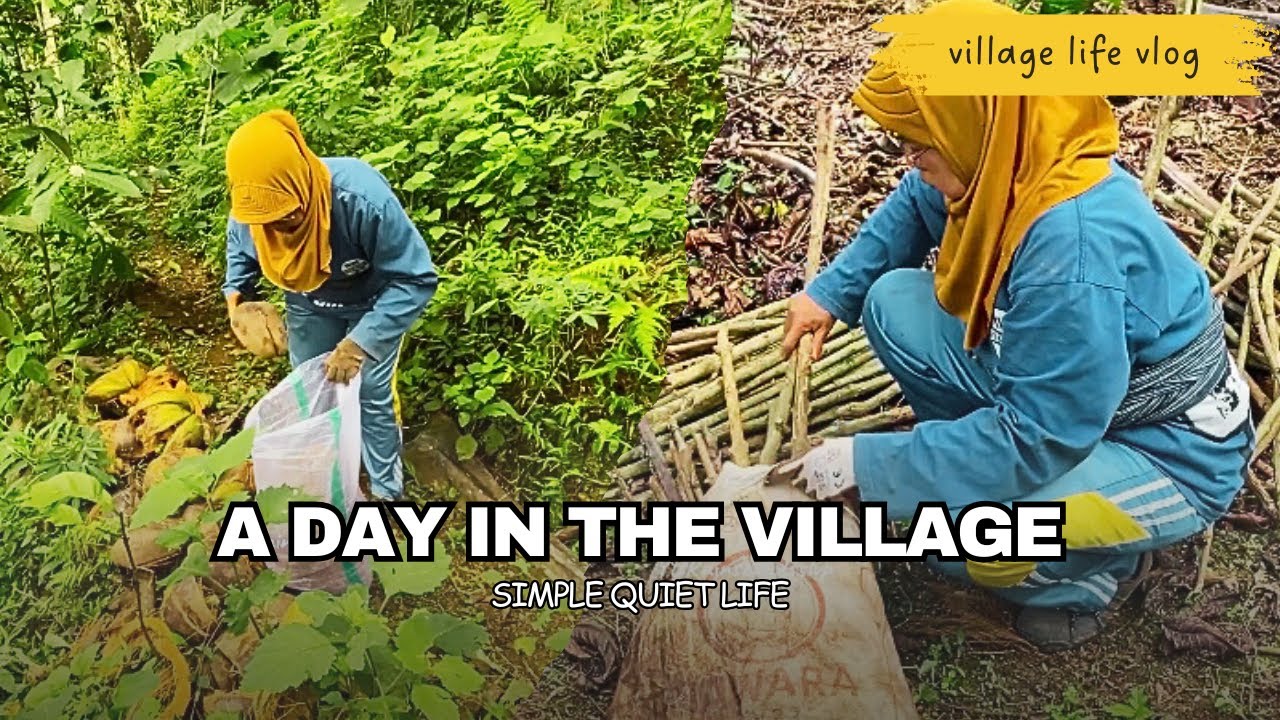 A Day in the Village: Looking for coconut fiber and firewood in the Forest for traditional cooking