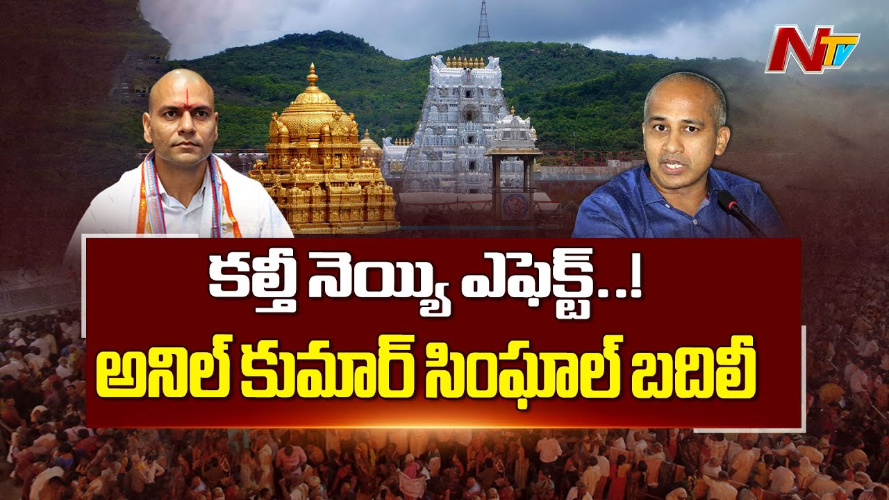 కల్తీ నెయ్యి ఎఫెక్ట్‌.. అనిల్‌ కుమార్‌ సింఘాల్‌ బదిలీ | TTD EO Anil Kumar Singhal transferred | NTV