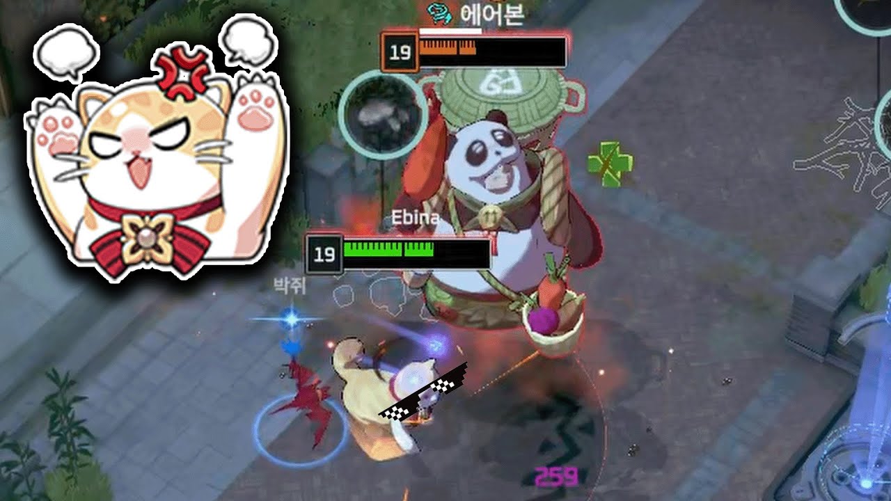 고양이가 판다 때리는 영상 [이터널리턴]