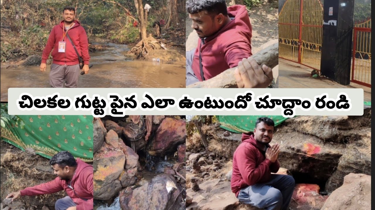 చిలకలగుట్ట మీద ఏలా ఉన్నదో  చూద్దాం రండి | మేడారం జాతర | #medaram 