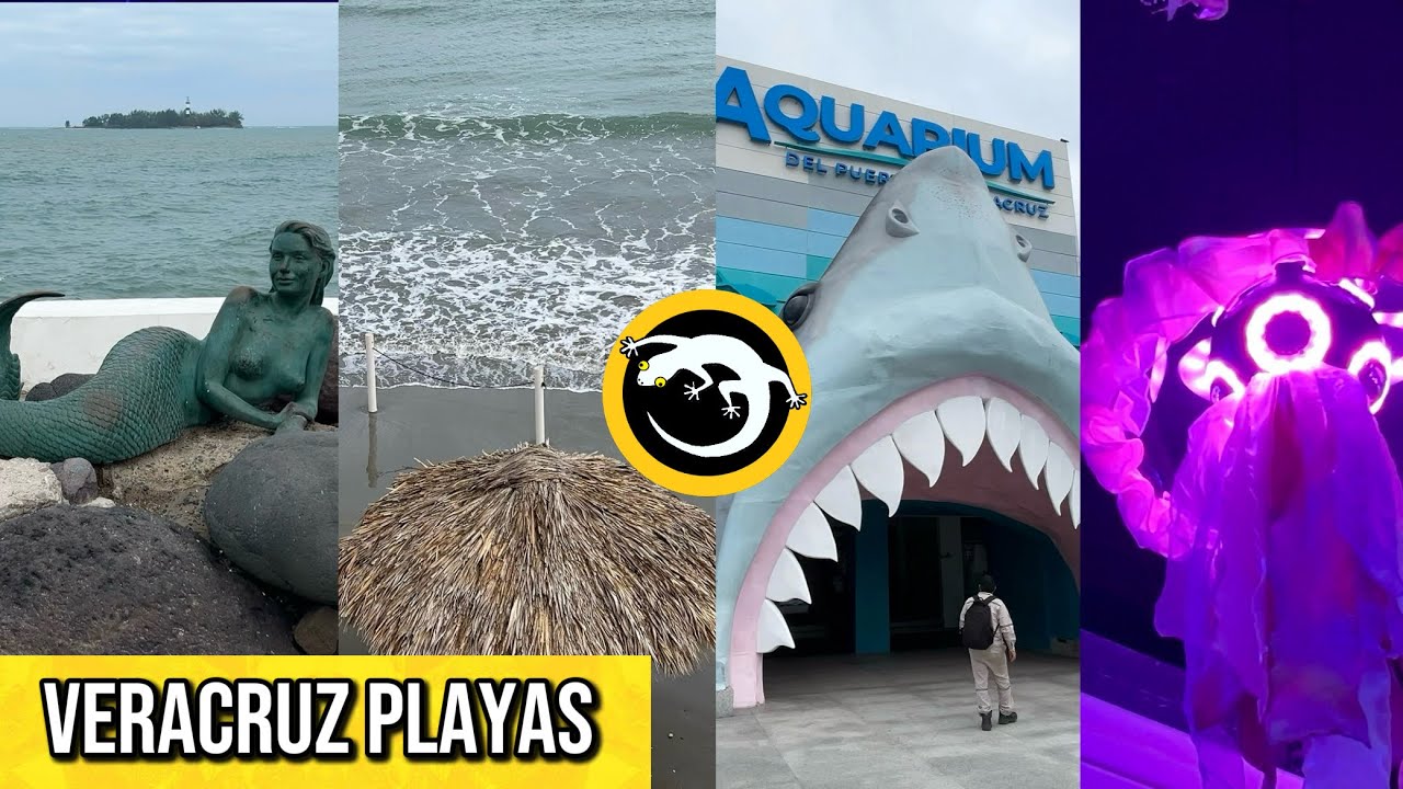 Puerto de VERACRUZ después del mal clima // Blumia, Acuario y playa villa del mar