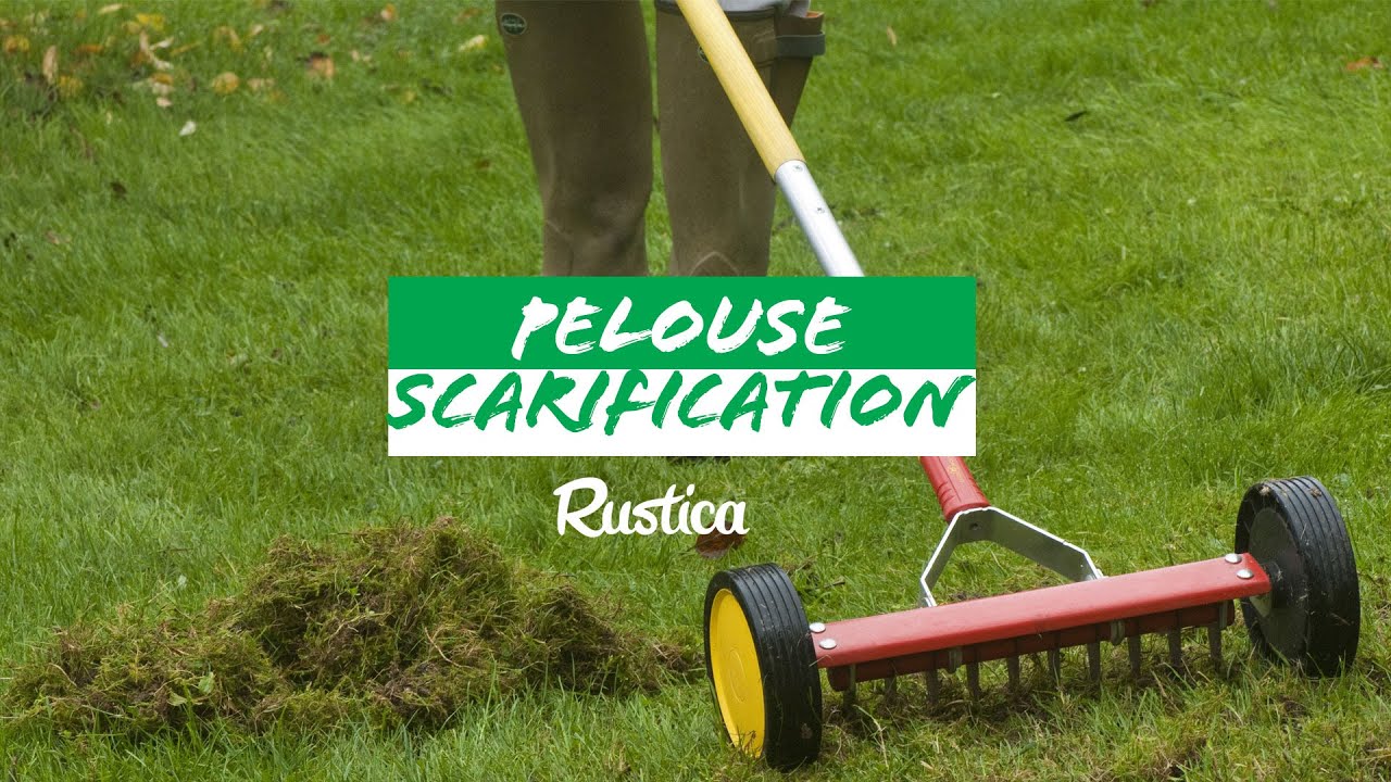 Comment scarifier la pelouse