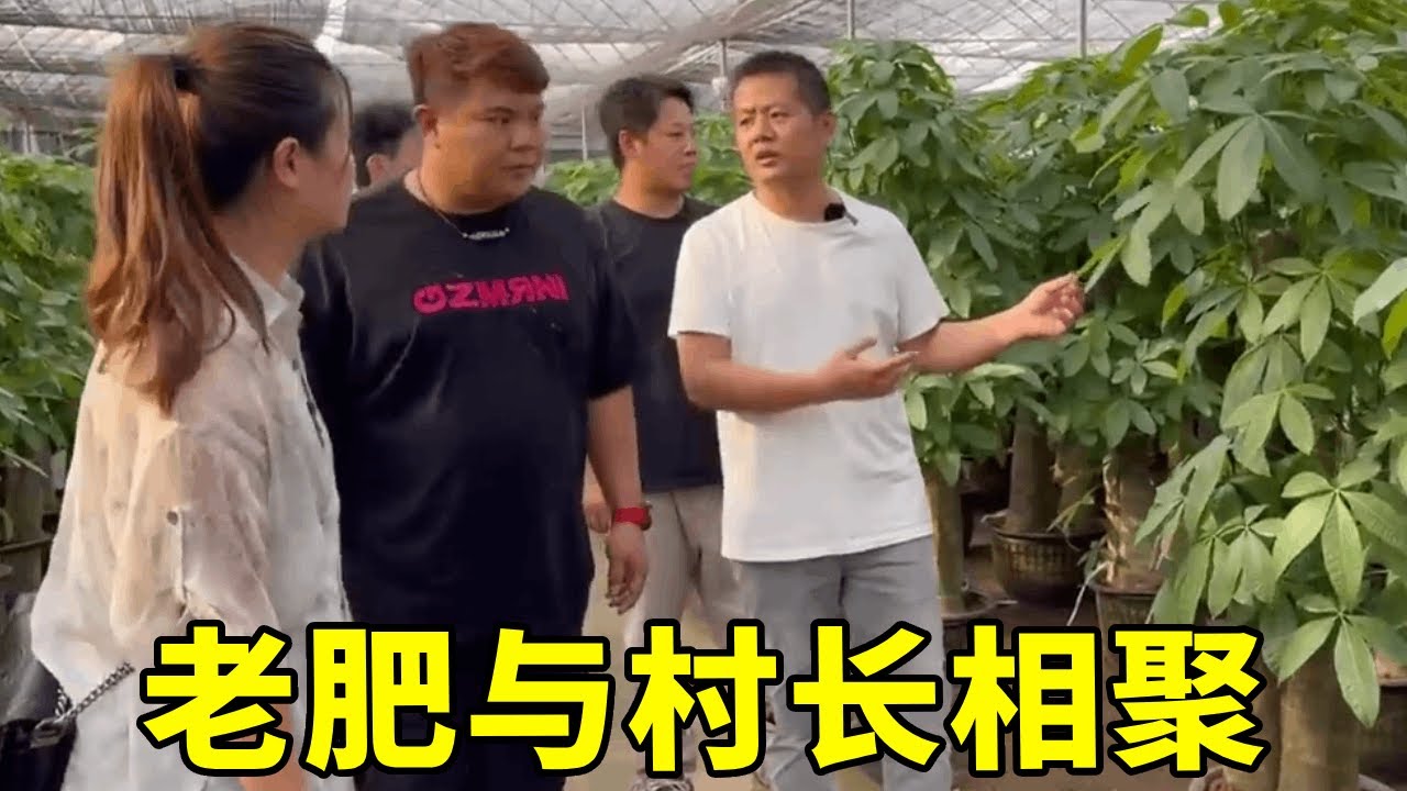 老肥与村长再次相聚，他的基地规模大到老肥两眼看呆【农人老肥】