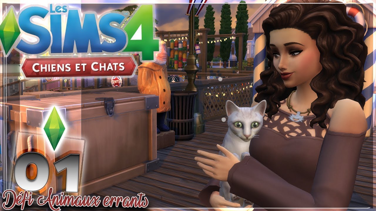 SAUVONS des ANIMAUX ! #01 ~Défi animaux errants~ [Sims 4 Chiens & Chats]