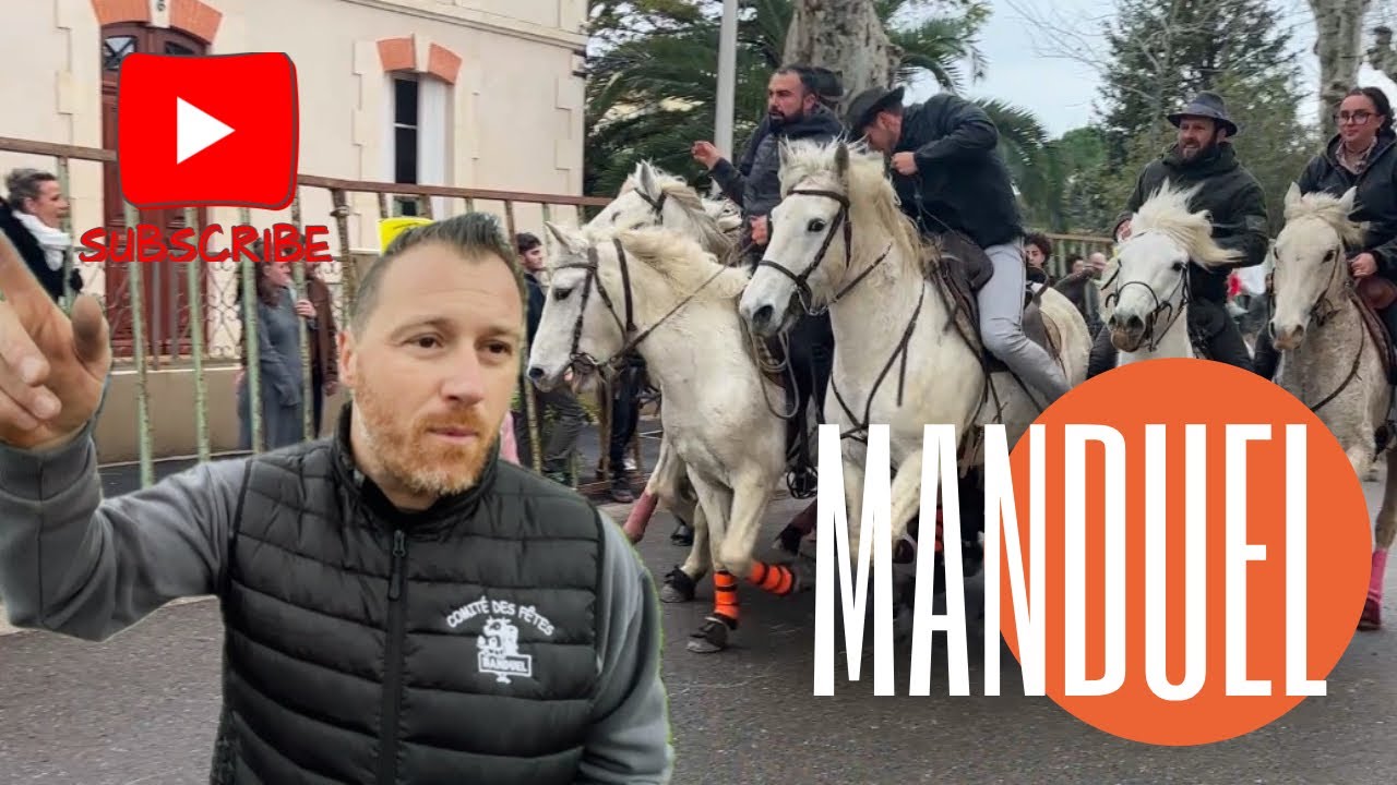 Abrivado ➡️ Manduel 🇫🇷23/02/2025 Manade LA VISTRENQUE & DU LEVANT ✅ pour les hivernales 👍🏼