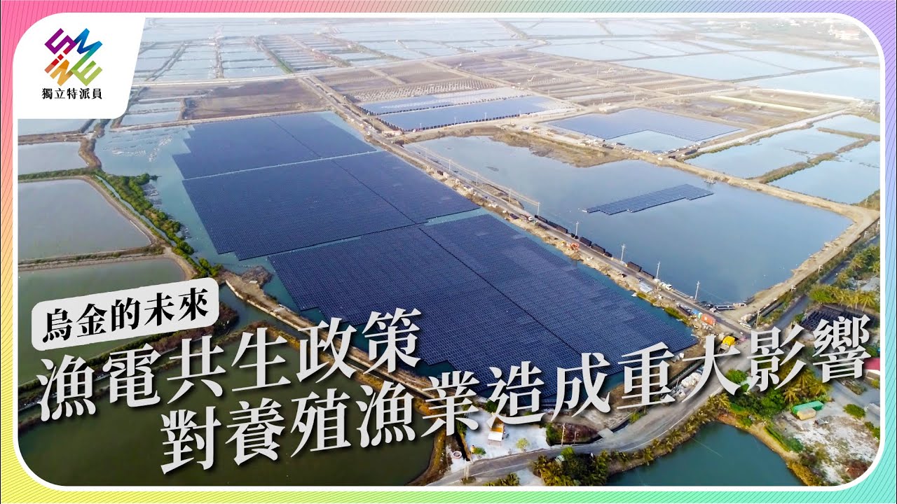 漁電共生政策，對養殖漁業造成重大影響。｜烏金的未來｜公視 #獨立特派員 第780集 20221214