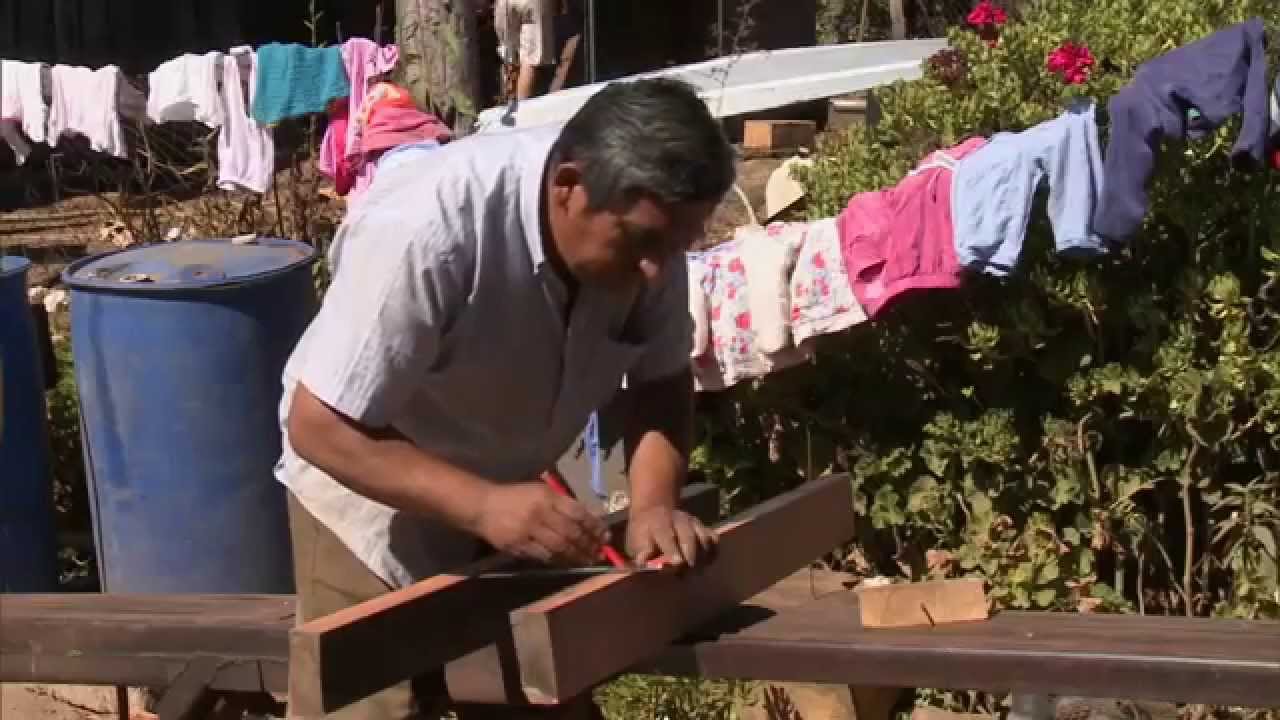 Frutos del País - Coelemu
