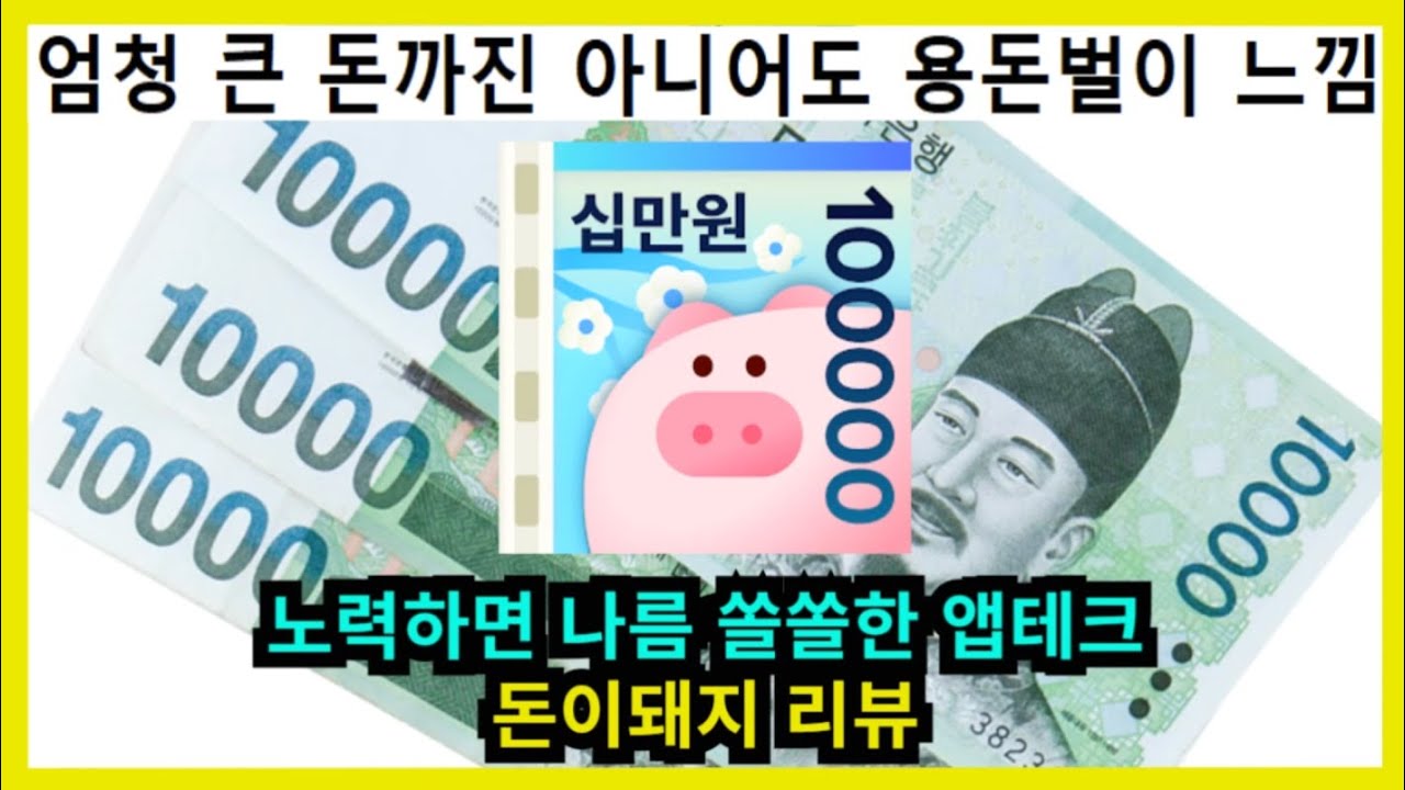 노력하면 나름 쏠쏠한 앱테크 돈이돼지 리뷰