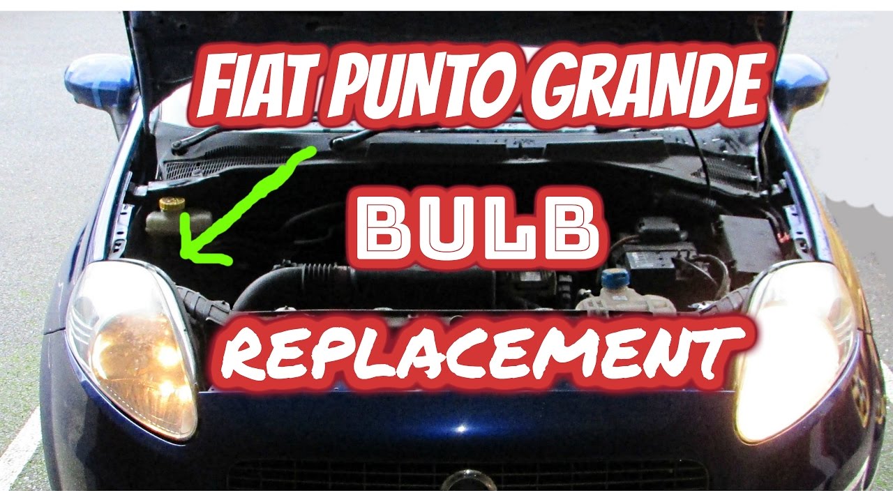 fiat punto bulb replacement