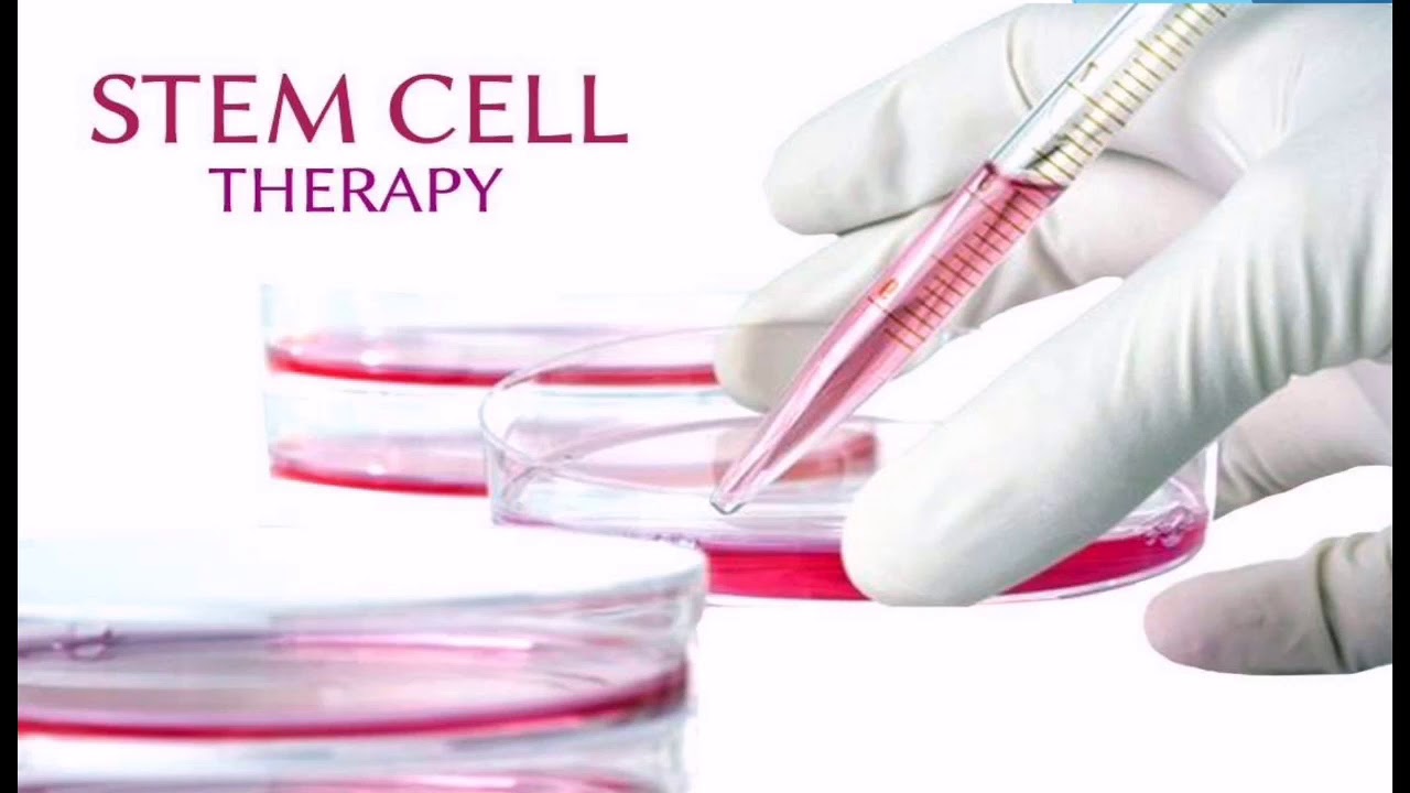 Finals: STEM CELL THERAPY