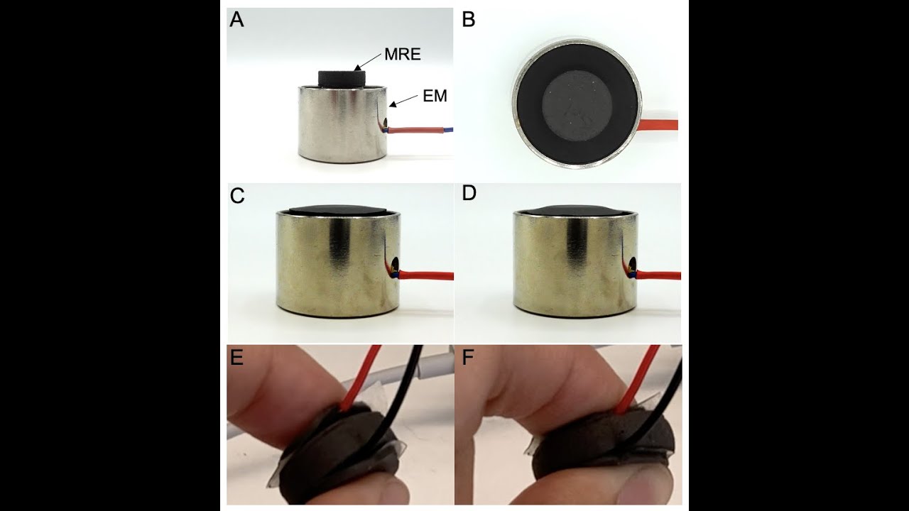 A Magnetorheological Elastomer Device for Programmable Actuation and Sensing
