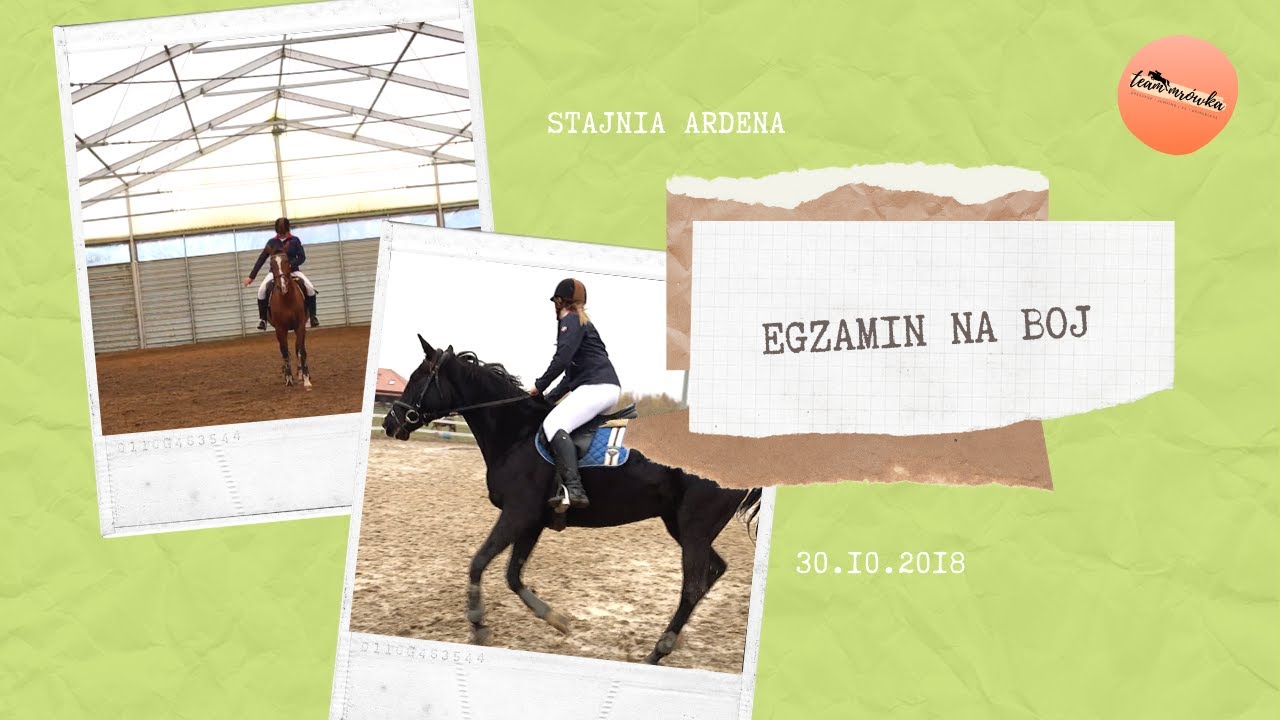 Mój egzamin na Brązową Odznakę Jeździecką 🤯