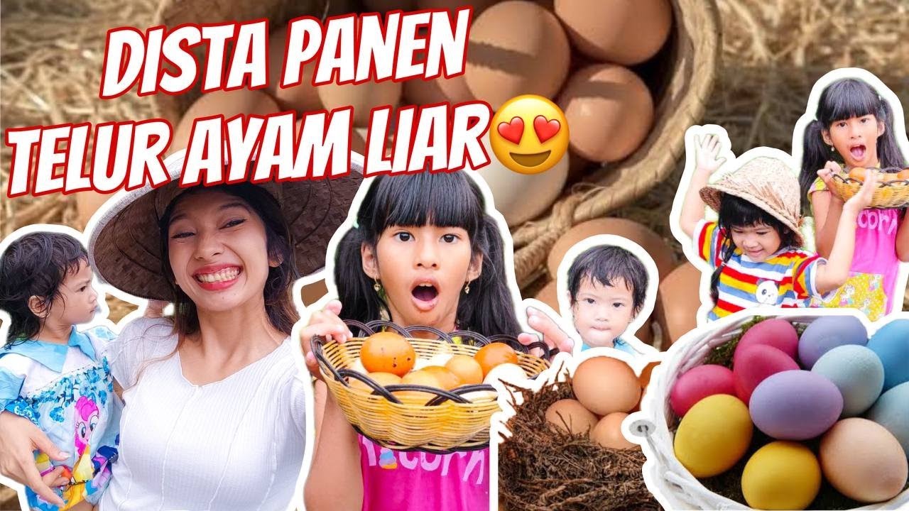 TELUR SEGINI BANYAK!! GAK ADA YG NGAMBIL😱 #viralvideos
