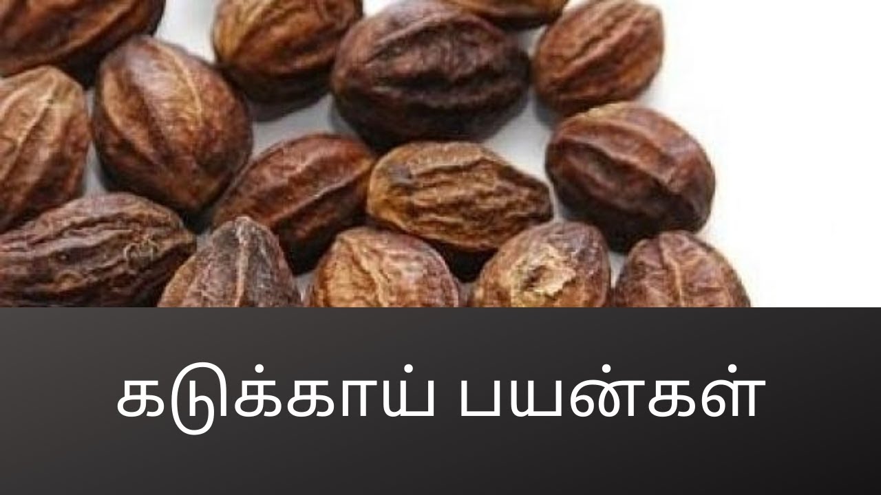 கடுக்காய் பயன்கள் #107(Uses of Kadukkai )_C.K.Nandagopalan