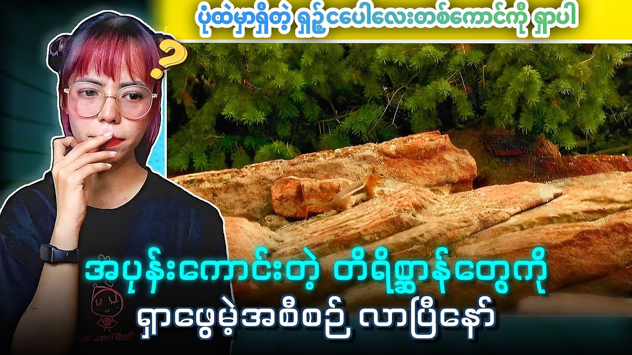 ရှာဖွေရတာကို သဘောကျတဲ့ဂေါင်းကြီးတို့တွက် 🧐🧐🧐🧐