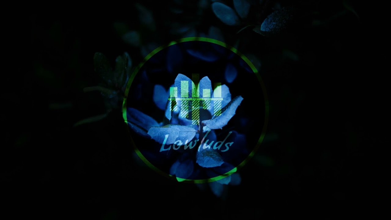 Lowluds - The Love