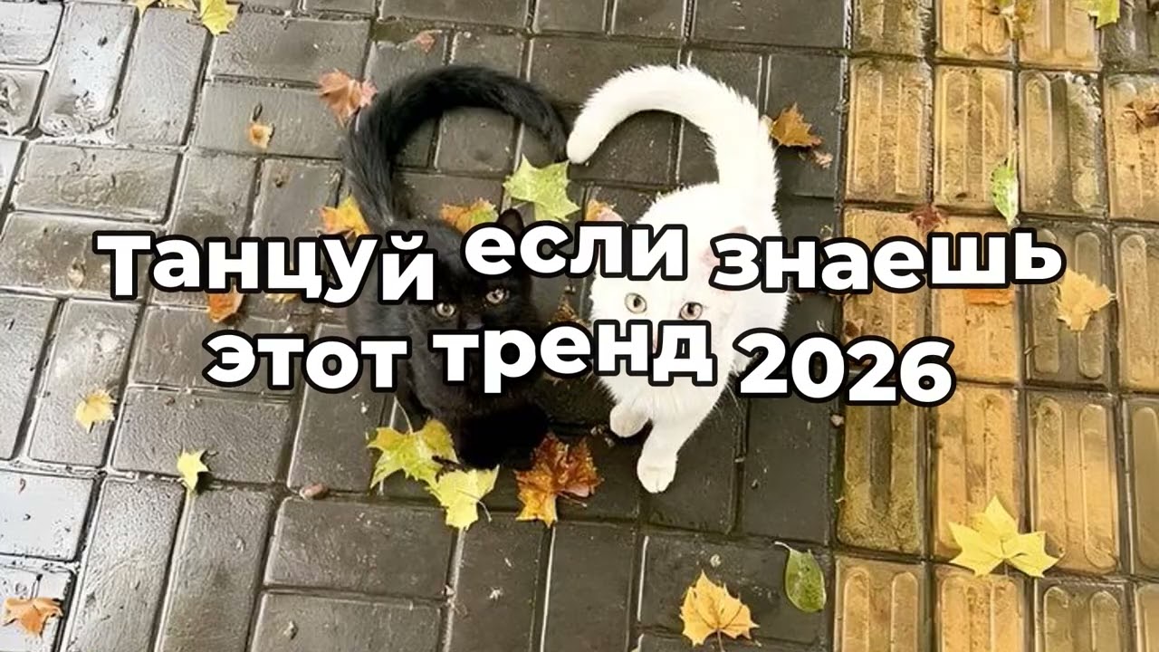 🤍Танцуй если знаешь этот тренд 2026 года🤍