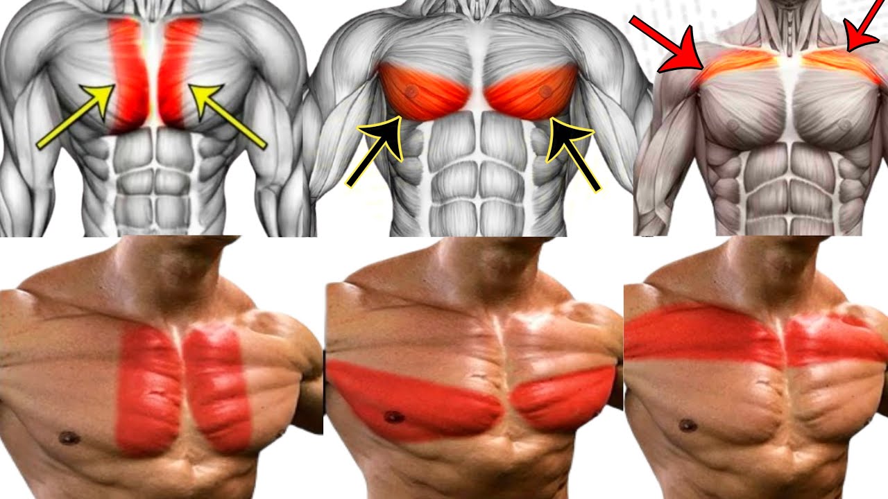 7 Best Chest Workout 🔥 | Upper Lower inner Chest Exercises