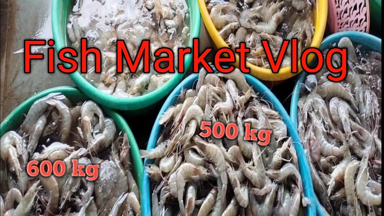 Goa Biggest Fish Market.