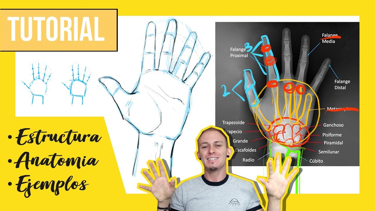 🖐🏼🤟🏼✌🏼 Cómo DIBUJAR MANOS Fácil y Rápido con Lápiz