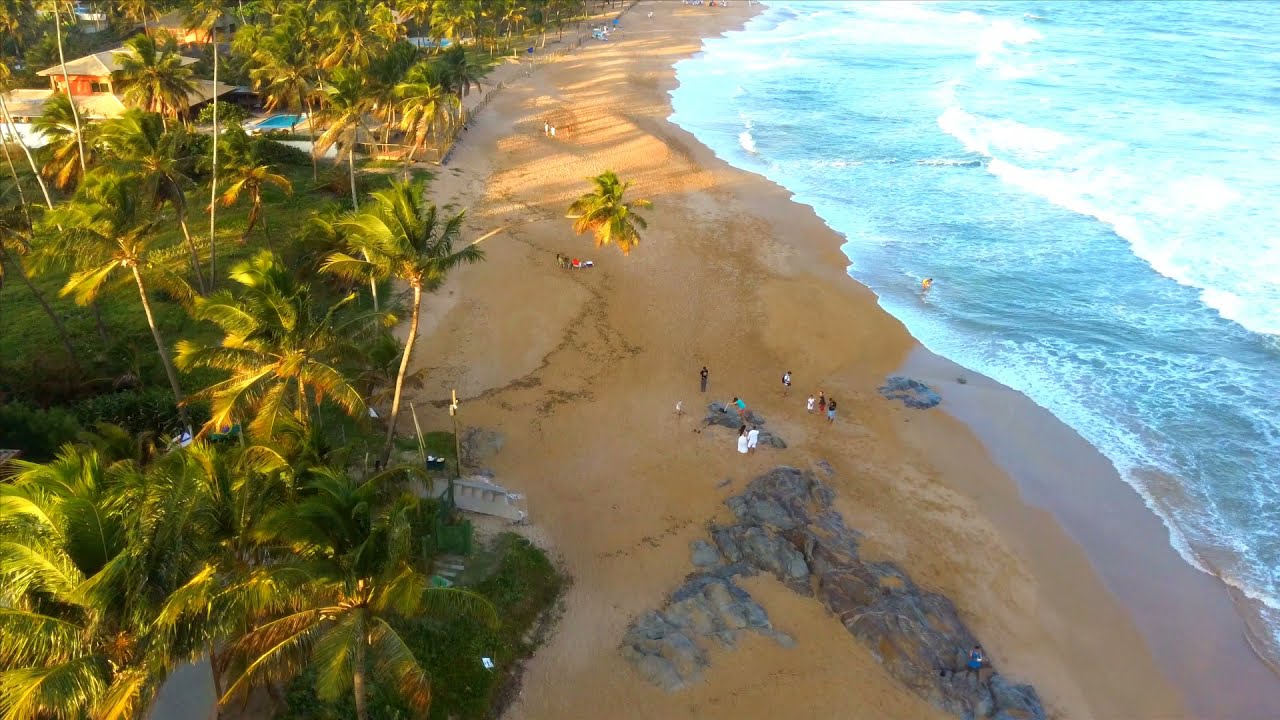 praia de busca vida