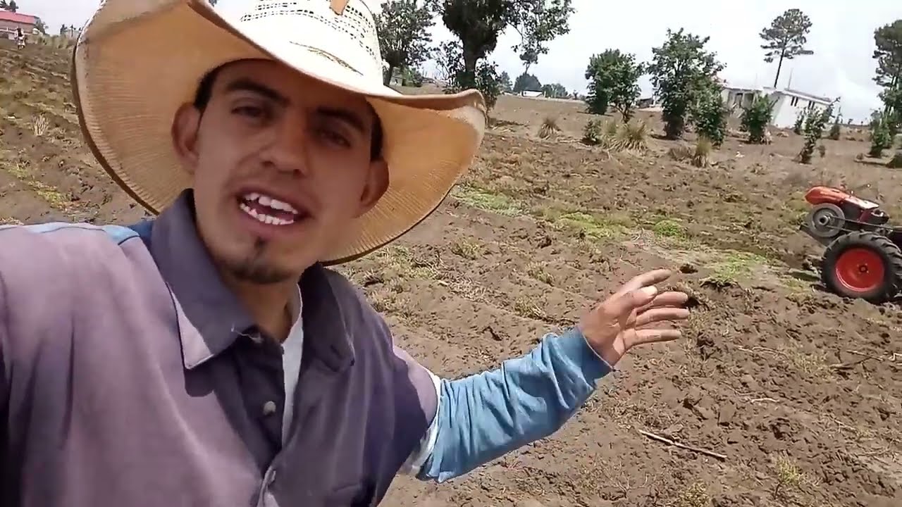 Cultivando maíz 🌽 | Rayando con motocultor para la siembra!