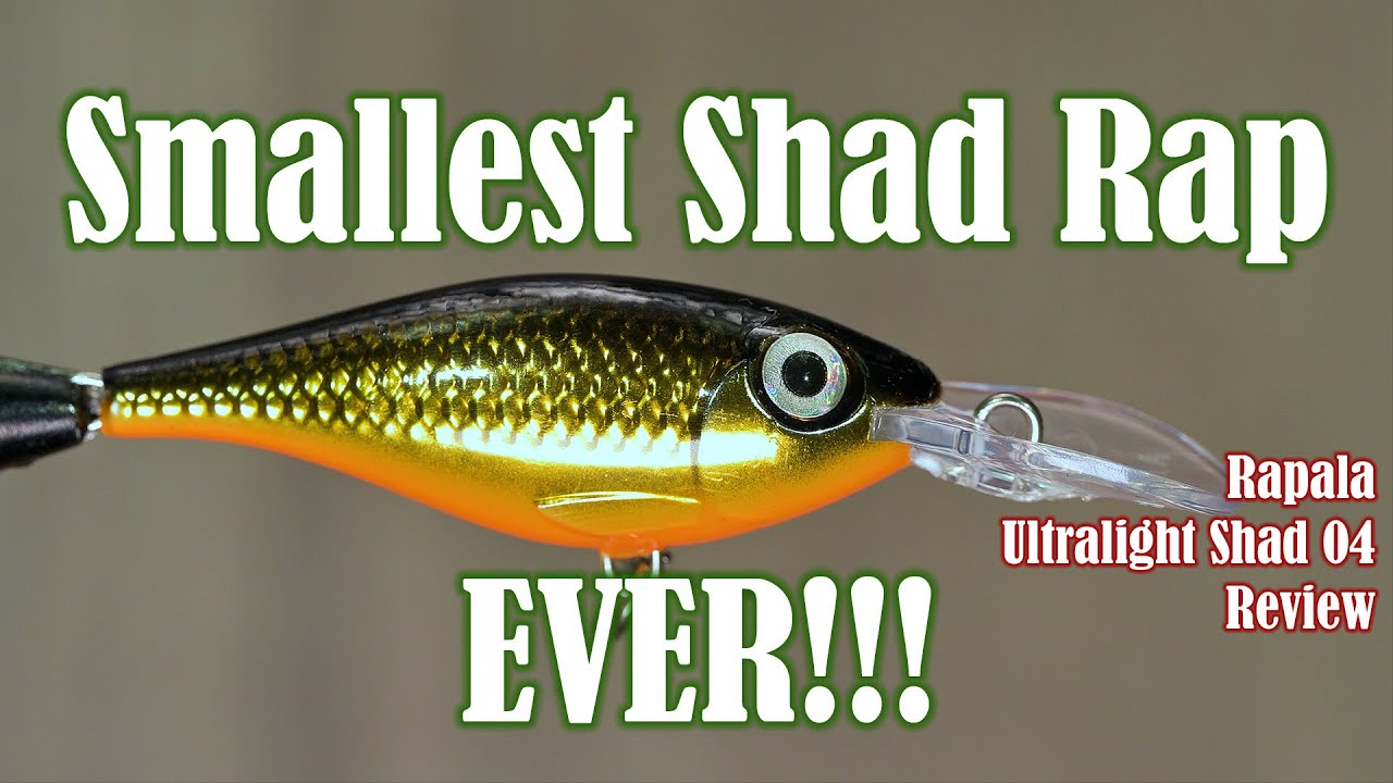 Rapala Ultralight Shad 04 Review