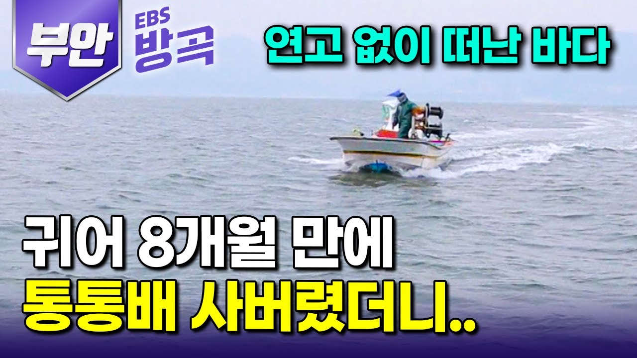 [전북 부안] 