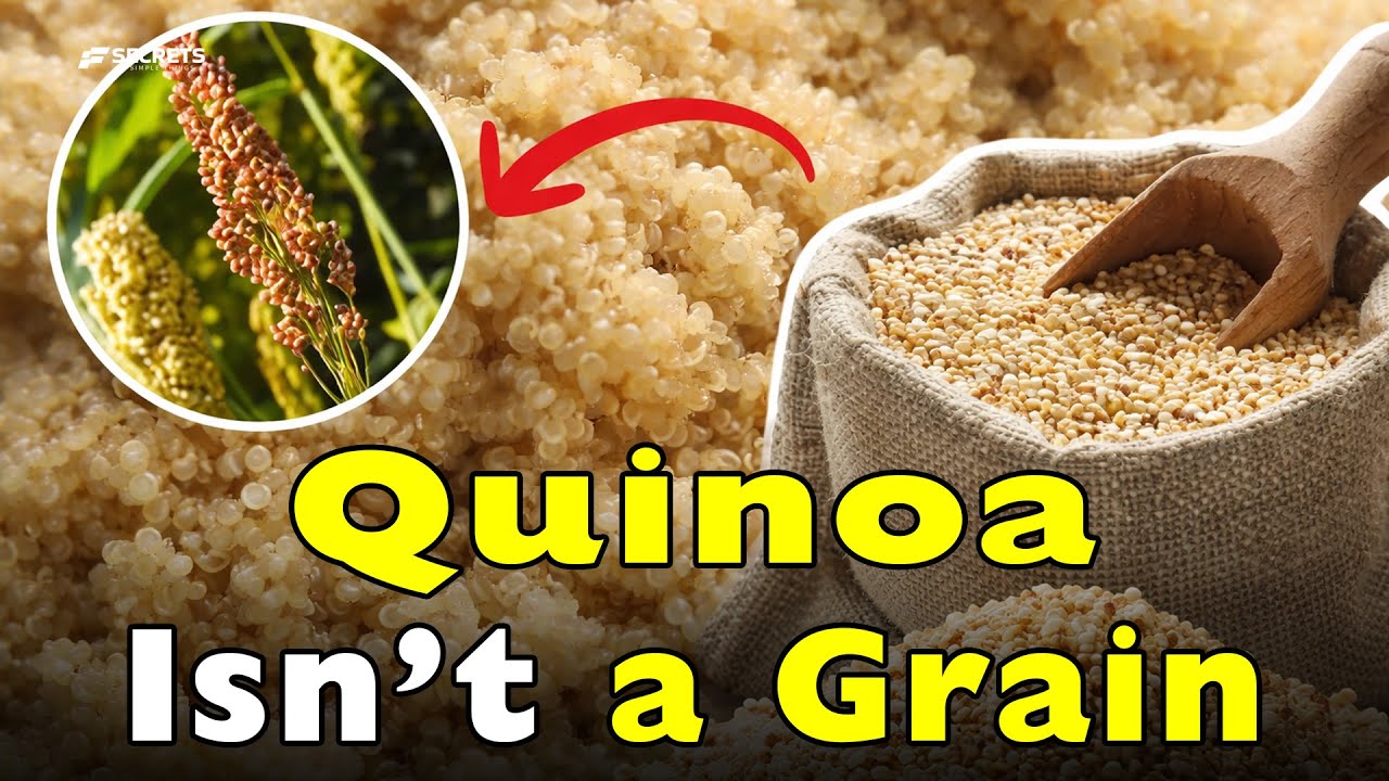 Quinoa Isn&rsquo;t a Grain &mdash; So What Is It Really? (The Bitter Secret)