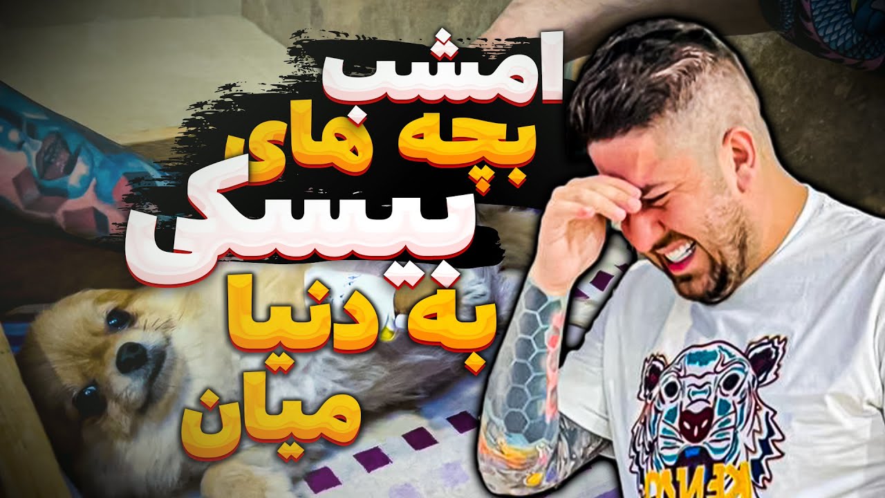 بچه های بیسکی امشب بدنیا میان 🥺🐶