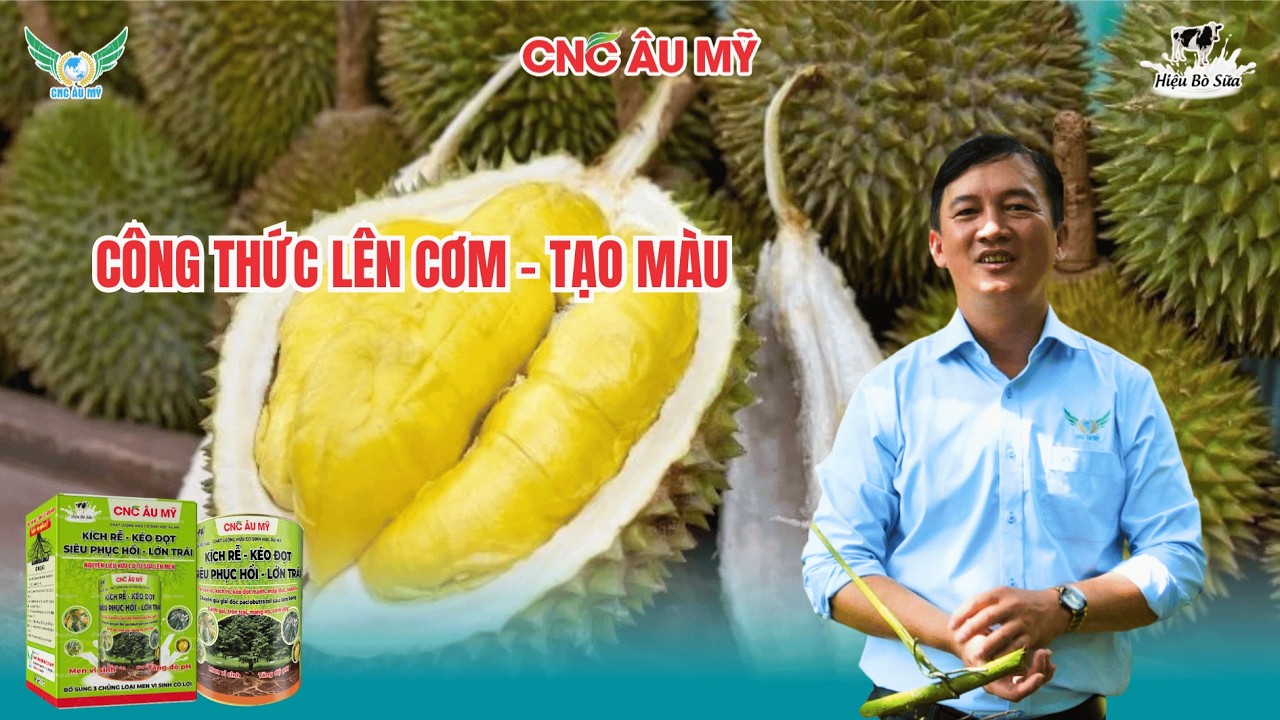 CÔNG THỨC LÊN CƠM – TẠO MÀU SẦU RIÊNG - CNC ÂU MỸ - KỸ SƯ CÔNG TẤN