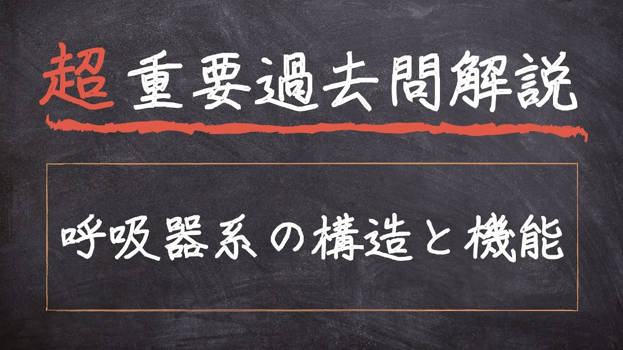 【超重要過去問解説】#23 呼吸器系の構造と機能【人体】