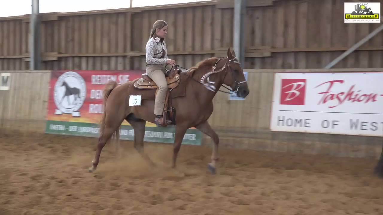 EMFTHA Missouri Fox Trotter Highpoint Turnier 2016 Final Performance
